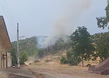 Φωτιά κοντά στο Πεδίο Βολής Αγριλιάς στο Μεσολόγγι – Άμεση κινητοποίηση