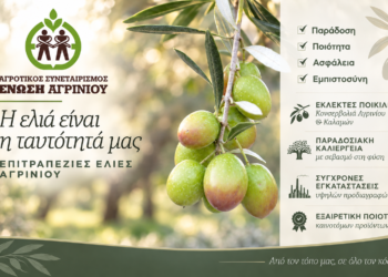 Ένωση Αγρινίου: Ξεκινούν οι παραλαβές ελιάς