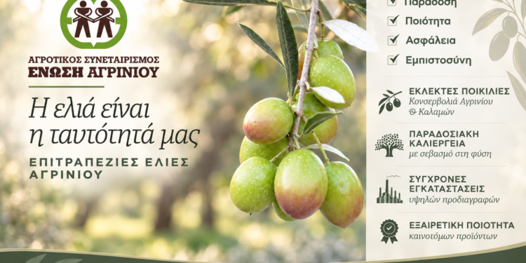 Ένωση Αγρινίου: Ξεκινούν οι παραλαβές ελιάς