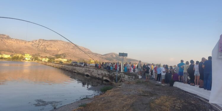 Στη Βουλή η «ασφυξία» της λιμνοθάλασσας Αιτωλικού – Ζητούν λύσεις και αποζημιώσεις για τους ψαράδες