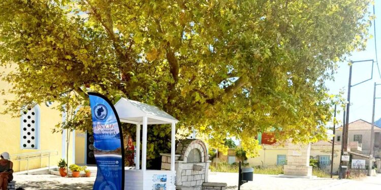 Μύτικας: Δύο νέα info kiosks για την προβολή της περιοχής και των επαγγελματιών