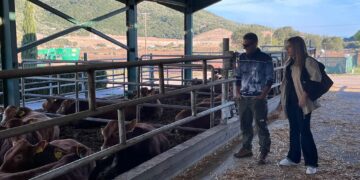 Στο Βιολογικό Αγρόκτημα η Νίκη Φλώρου-Καραγιάννη – Ο Γιάννης Κάτρης παρουσίασε ένα πρότυπο βιώσιμης παραγωγής