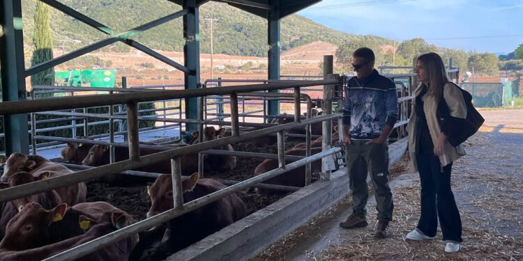 Στο Βιολογικό Αγρόκτημα η Νίκη Φλώρου-Καραγιάννη – Ο Γιάννης Κάτρης παρουσίασε ένα πρότυπο βιώσιμης παραγωγής