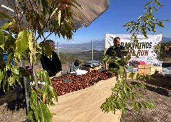 Η 18η Γιορτή Κάστανου στο Άνω Κεράσοβο