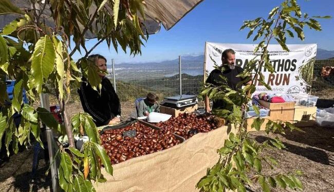 Η 18η Γιορτή Κάστανου στο Άνω Κεράσοβο