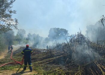Συναγερμός για φωτιά στο Καινούργιο – Κινδύνευσαν εγκαταστάσεις και λιοστάσια