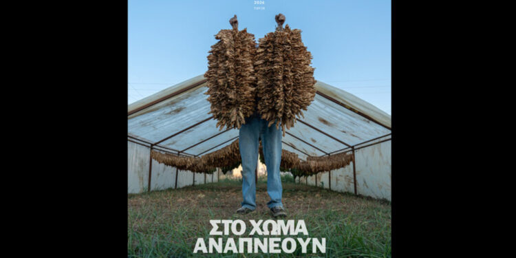 «Στο Χώμα αναπνέουν»: Το ντοκιμαντέρ των Καλλιρρόη Κωστίκογλου-Βαγγέλη Πυρπύλη στο Chania Film Festival